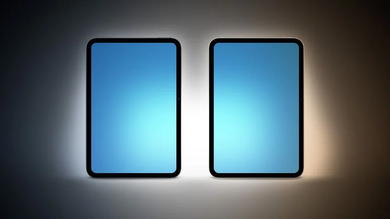 开云体育官网4